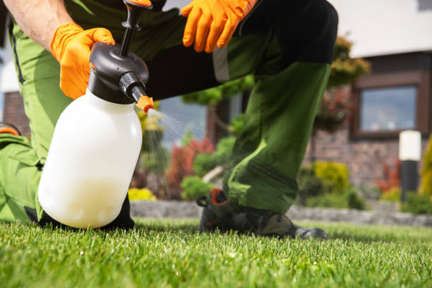 Reliable Port Monmouth, NJ Pest Control Solutions