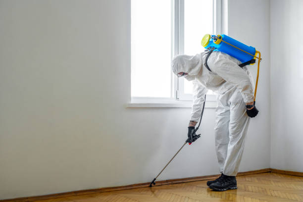 Best Termite Control Services  in Port Monmouth, NJ