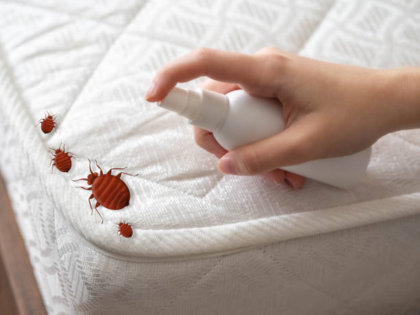 Best Best Pest Control Near Me  in Port Monmouth, NJ