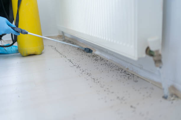 Best Insect Control  in Port Monmouth, NJ